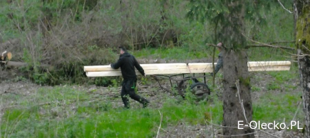 Złodziej z misją szczęścia. Ukradł drewno, bo… konstytucja mu kazała